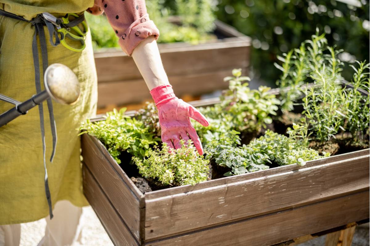 Creating a Wind-Resistant Garden: Landscaping Tips for Coastal Homes ...