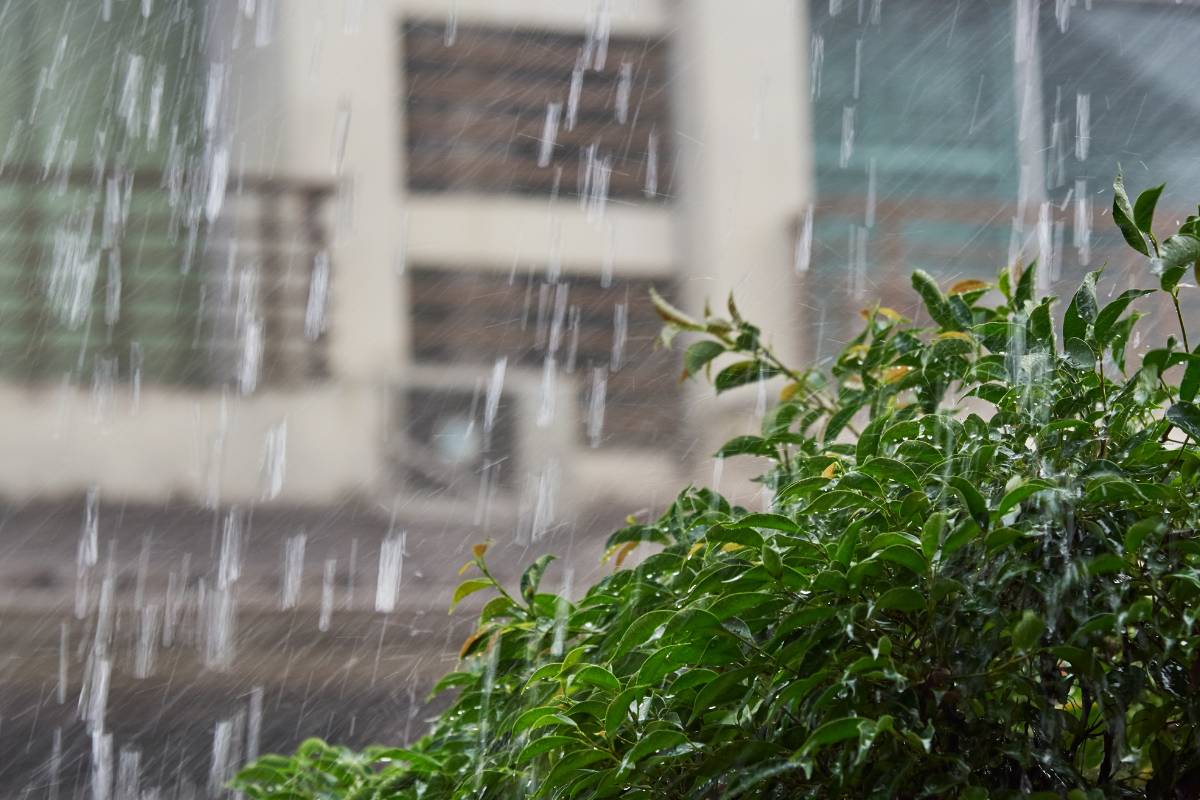 Monsoon Season in Texas: How Rain Impacts Your Paint Job - Justice Inc.