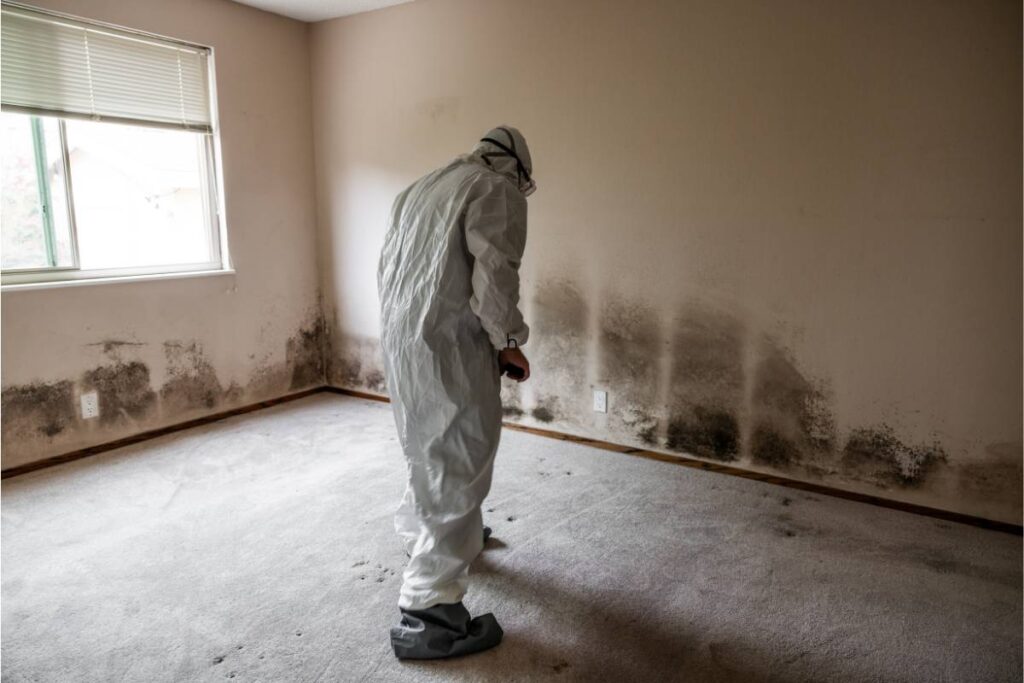 how to prevent mold growth on flooring of humid areas
