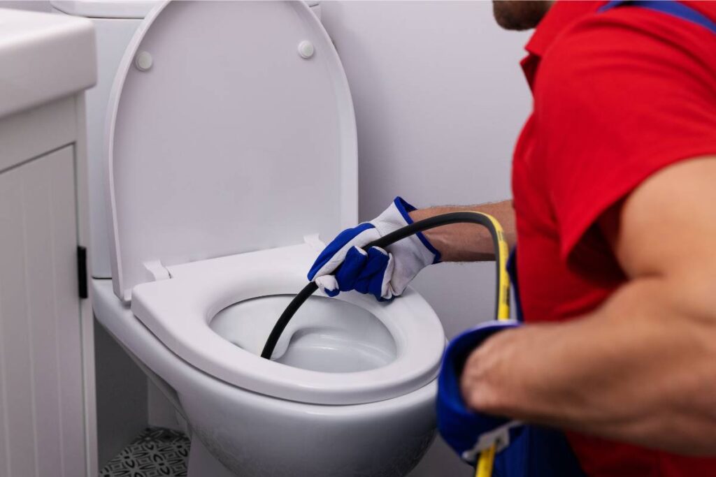 how to prevent sewer line clogs in corpus christi