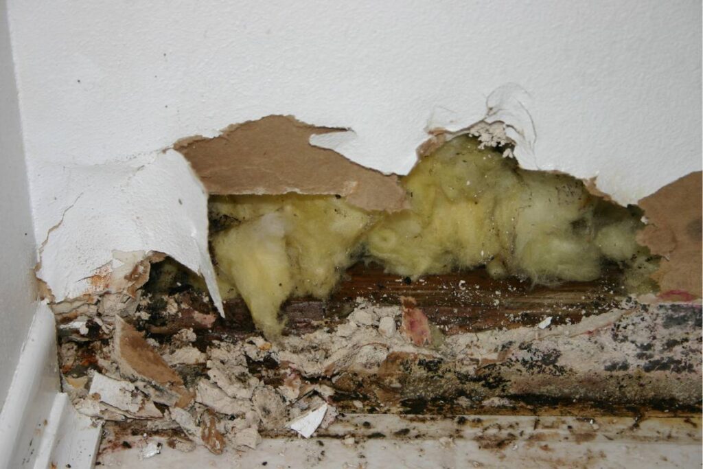 how to tell if you need a new drywall or just a patch job