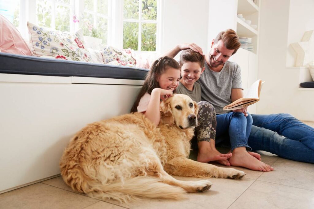 how your pets affect AC efficiency in summer