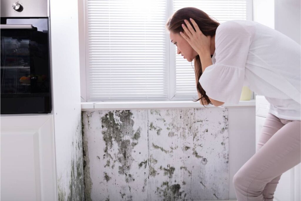 mold and mildew in coastal bathrooms