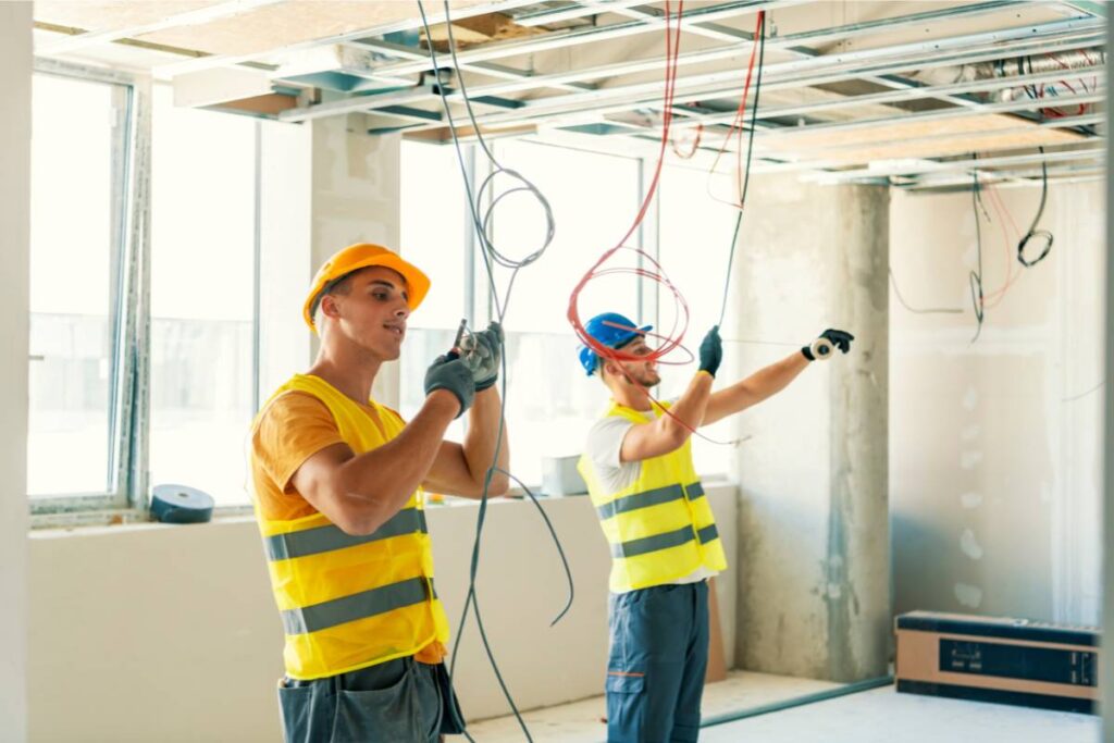 mold growth in wiring