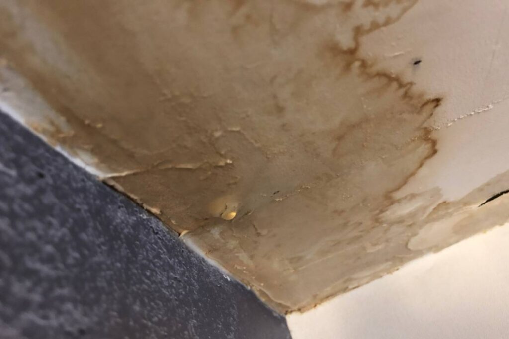 plumbing leaks damage drywall in corpus christi