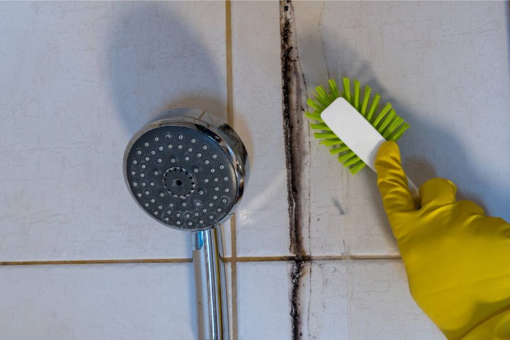 preventing mold and mildew in coastal bathrooms like corpus christi