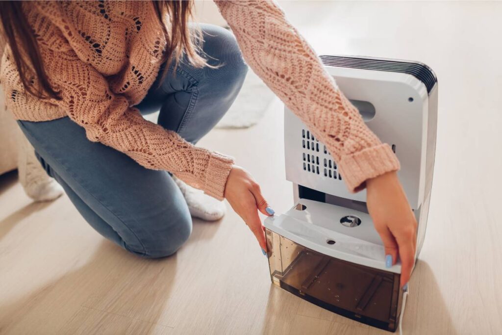 dehumidifier at home