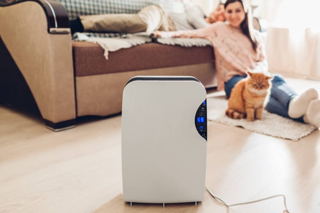 dehumidifier providing good air quality home