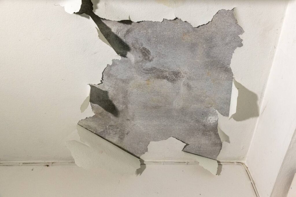 exterior paint damage