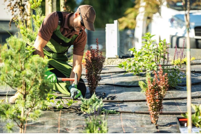 Landscaping for Small Yards in Corpus Christi’s Newer Subdivisions