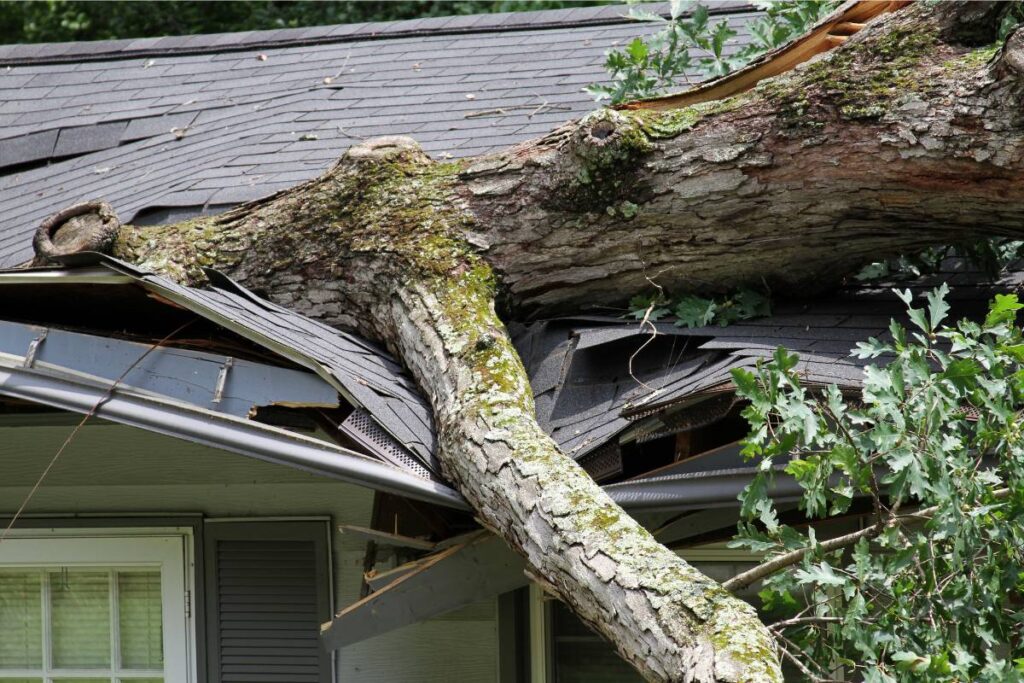 replace your asphalt shingles roof - storm-damaged