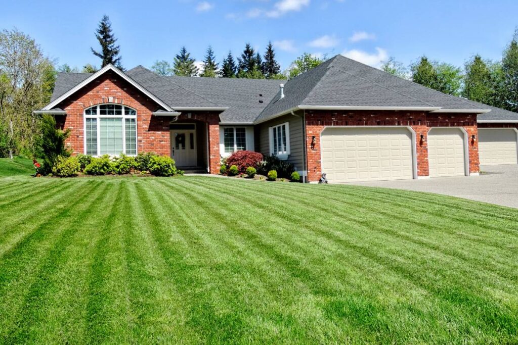 fertilize your Corpus Christi lawn
