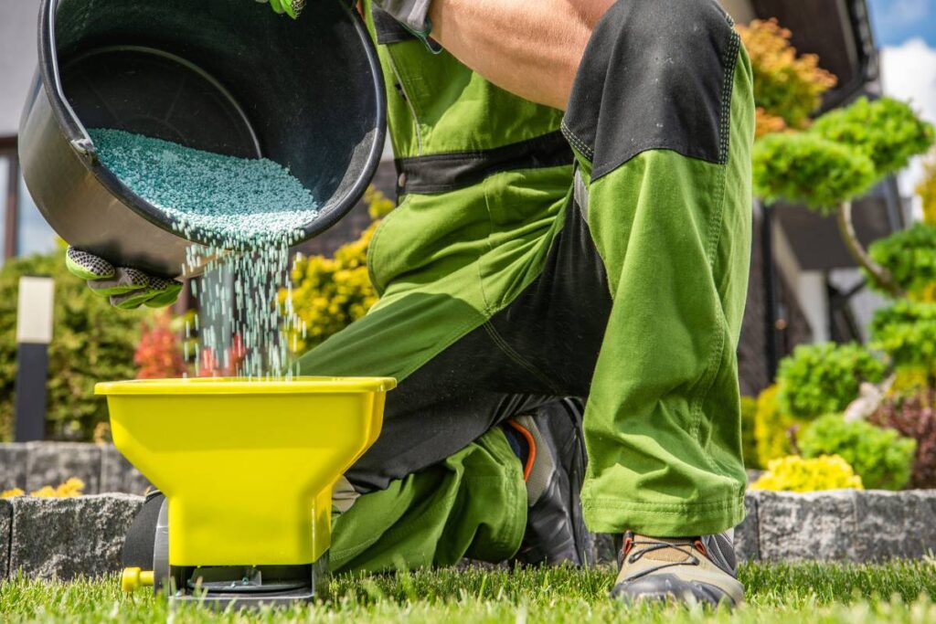 fertilize your Corpus Christi lawn - fertilizer