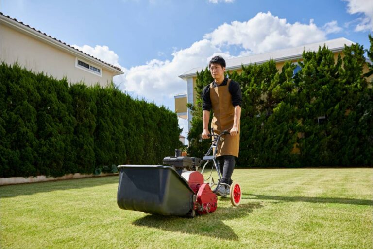 When and How to Fertilize Your Corpus Christi Lawn