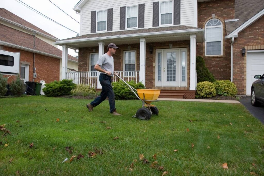 when and how to fertilize your Corpus Christi lawn - justice inc