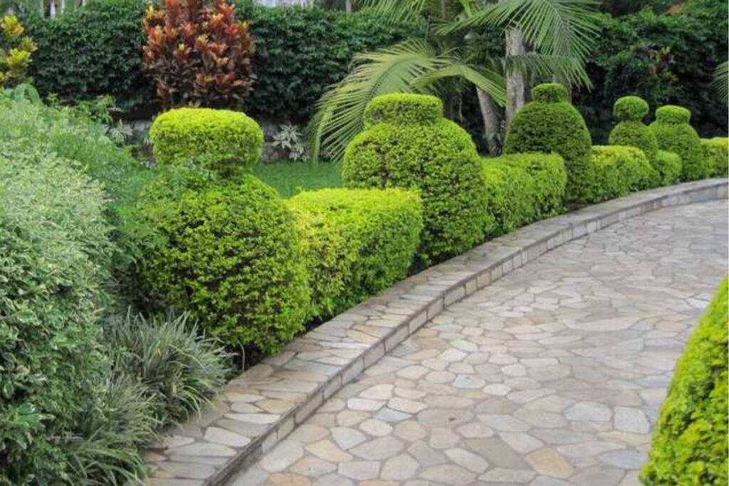 Prep Your Landscape for Hurricane Season and Fall Storms - garden pathway