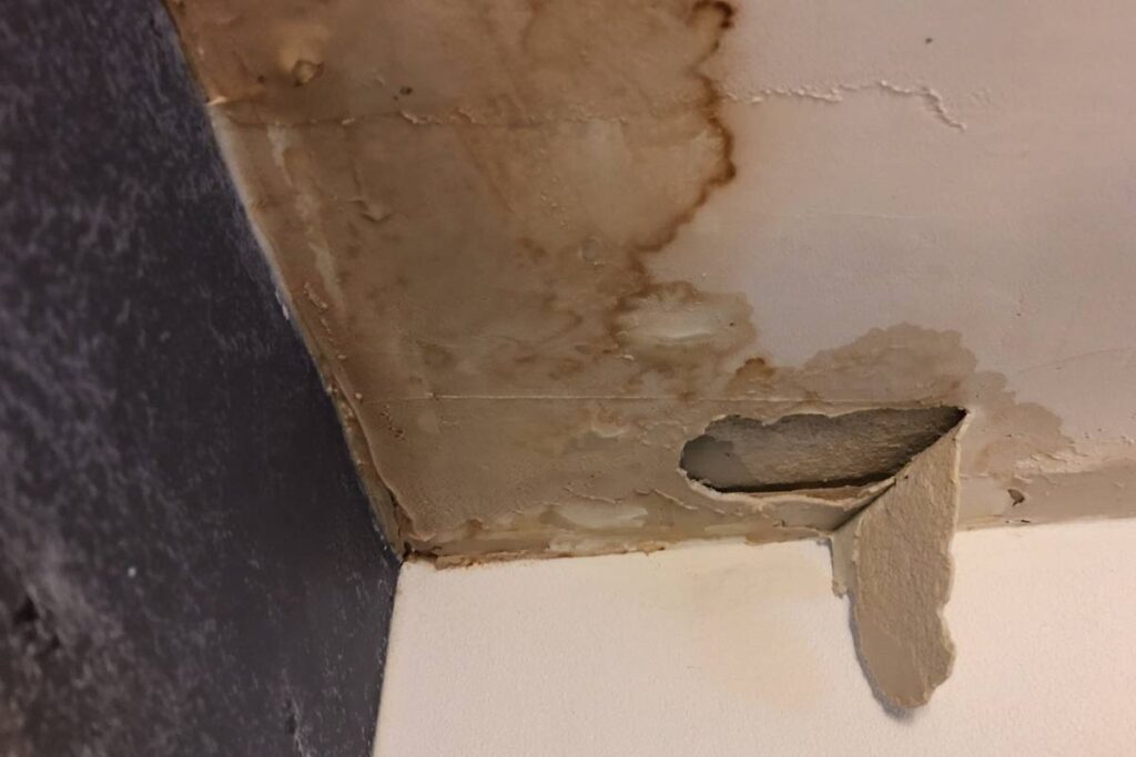 cost to repair roof leaks in Corpus Christi