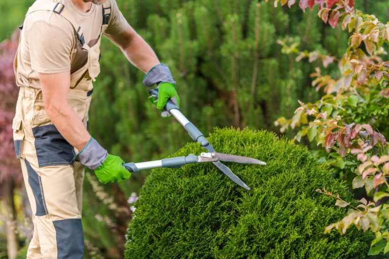Fall Landscaping Checklist for Corpus Christi Homeowners