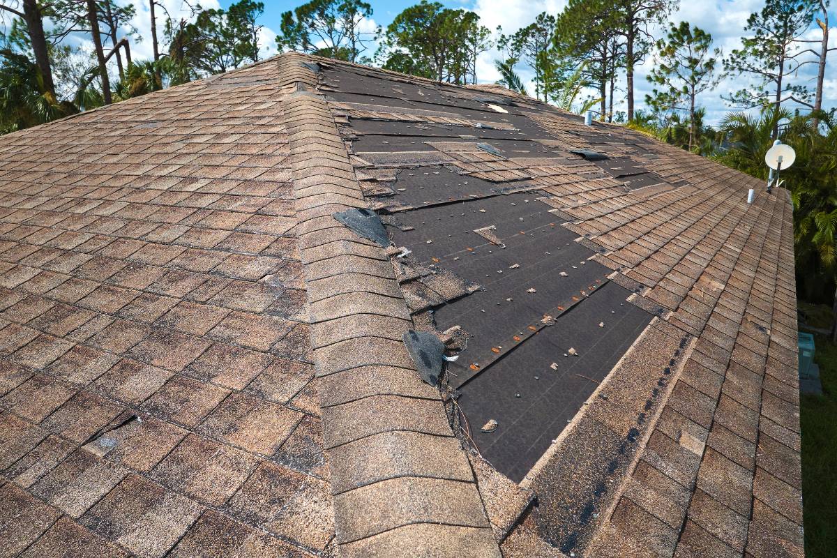 Haunted Roof? Signs Your Home’s Top Is Spookily Close to Failure ...