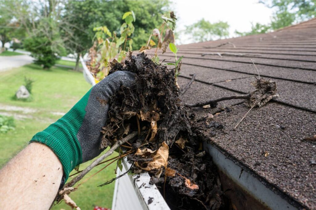 routine gutter cleaning in Corpus Christi
