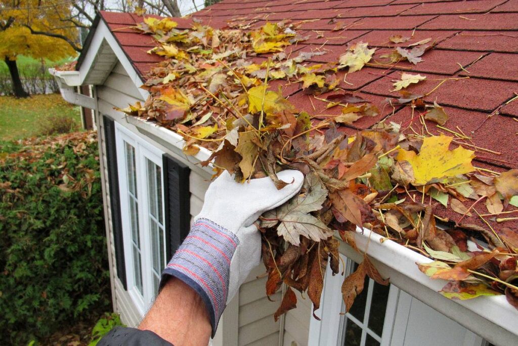 Roof Leaks - clogged gutters