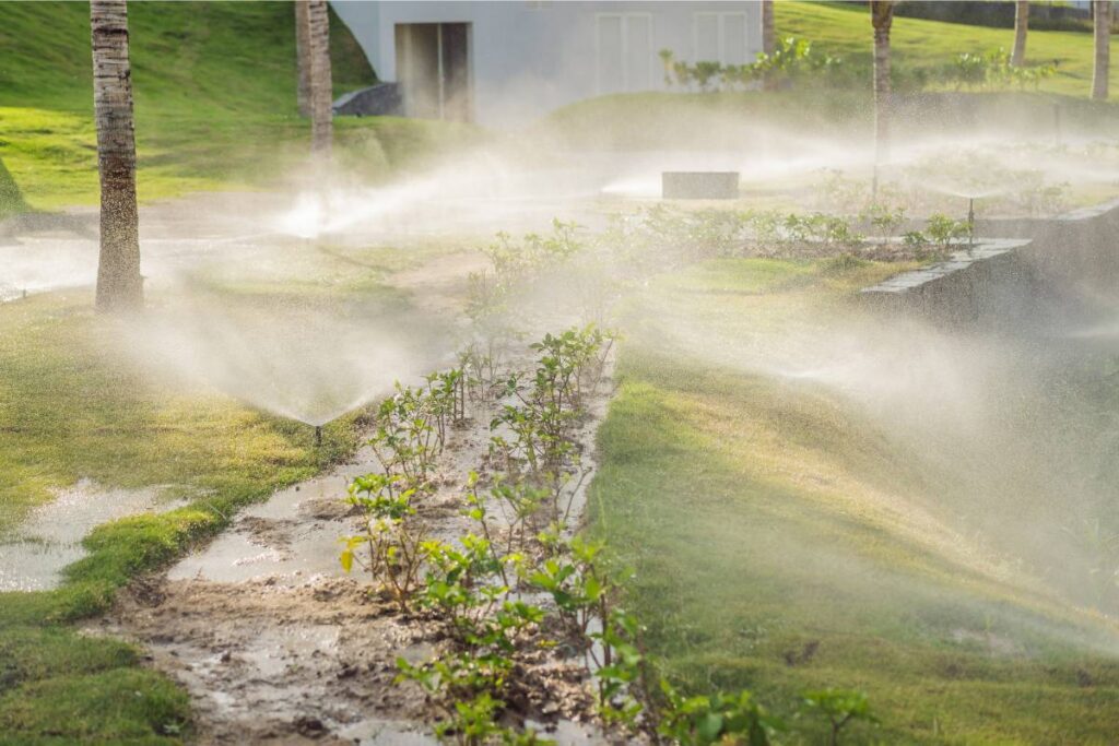 Sprinkler System - during dry spells