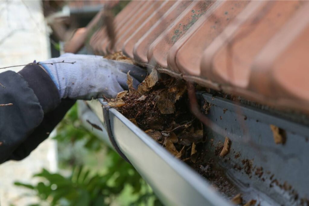 Can Gutters Freeze in Corpus Christi - clean gutter regularly
