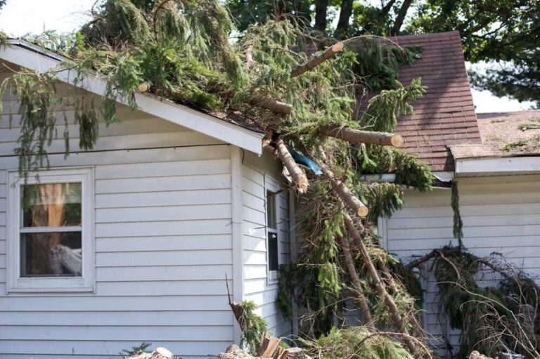 Emergency Roof Repairs: What to Do and NOT Do After a Spring Storm