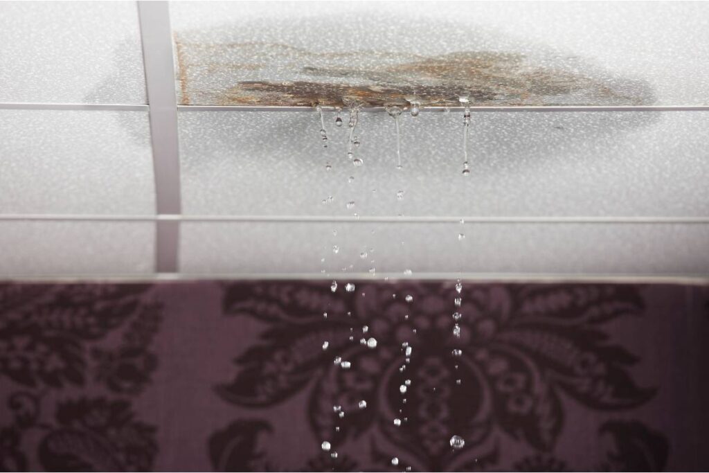roof leak