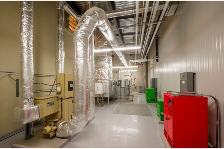 Dehumidifier Installation in Corpus Christi: A Homeowner’s Complete Guide